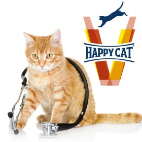 vet happy cat